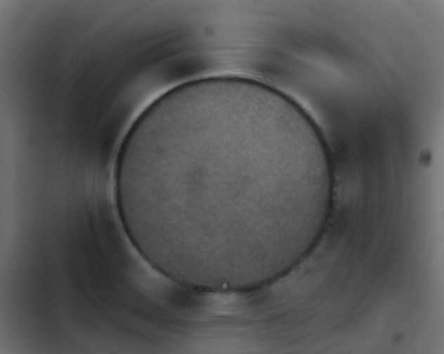 X0000103961468200809261759