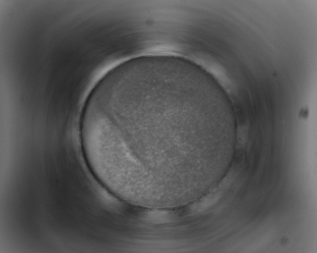 X0000103961470200809261759