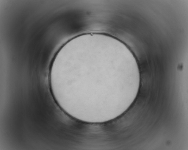 X0000103961472200809261759