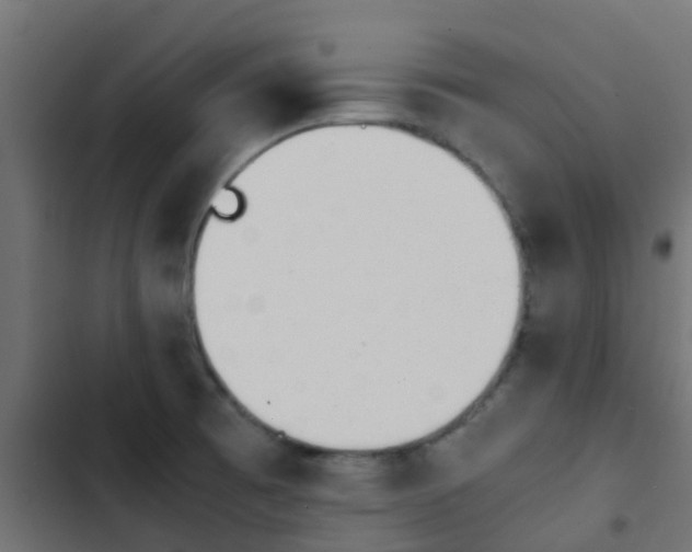 X0000103961473200809261759