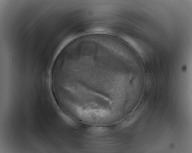 X0000103961474200809261759