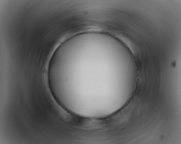 X0000103961475200809261759