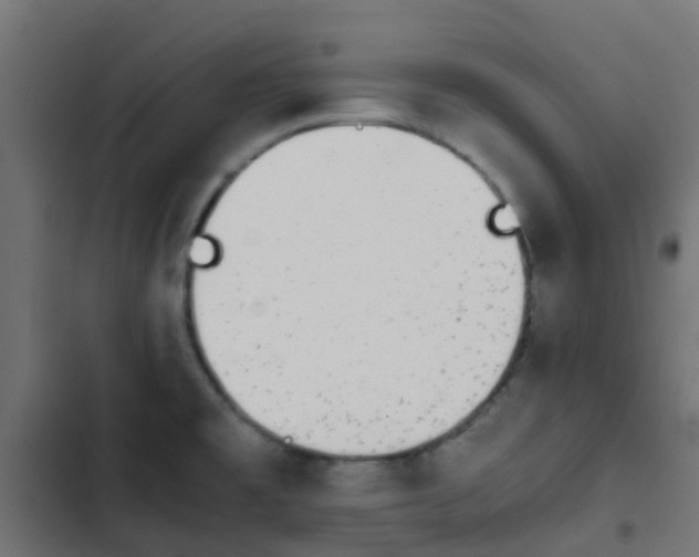X0000103961477200809261759