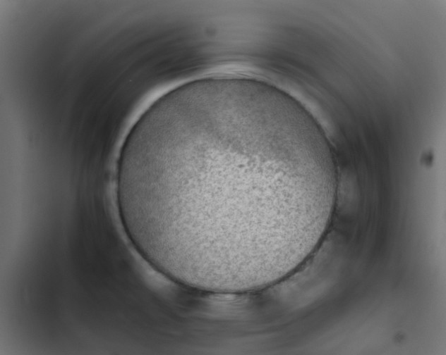 X0000103961478200809261759