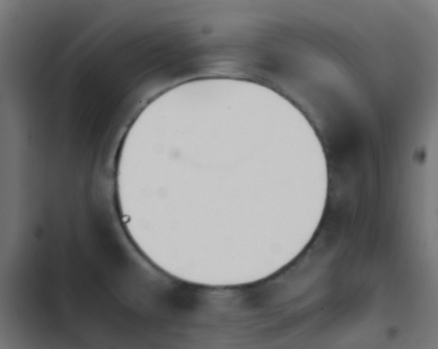 X0000103961479200809261759