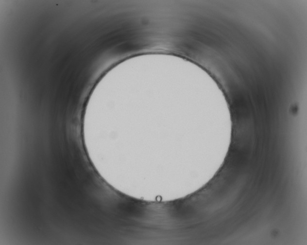X0000103961480200809261759