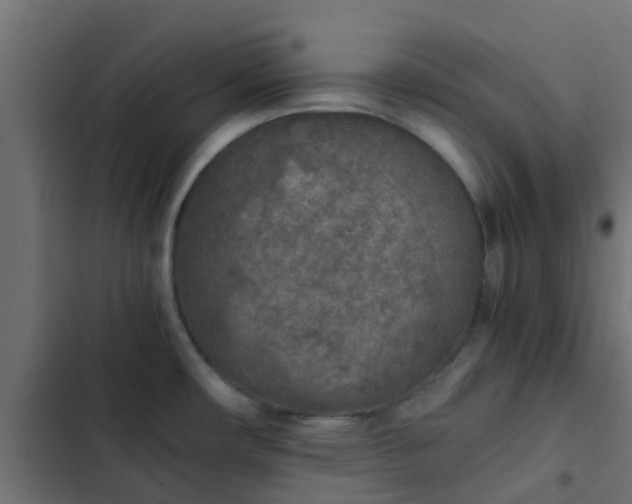 X0000103961482200809261759