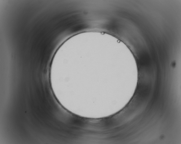 X0000103961484200809261759