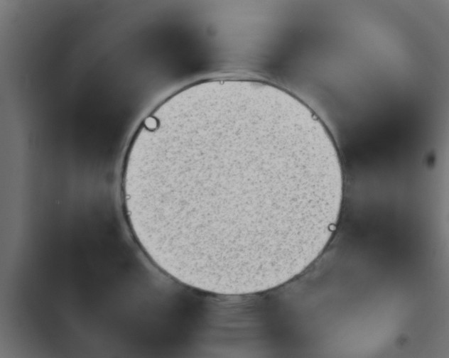 X0000103961485200809261759