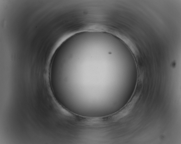 X0000103961486200809261759