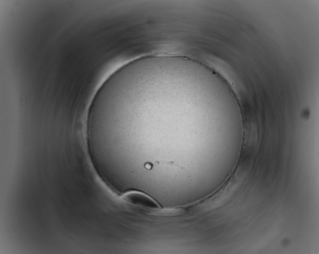 X0000103961487200809261759