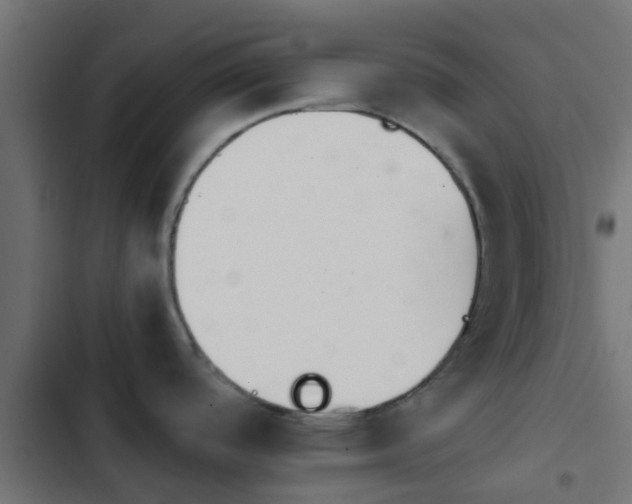 X0000103961488200809261759