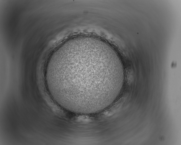 X0000103961489200809261758