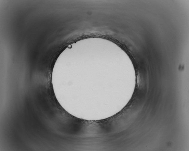 X0000103961492200809261758
