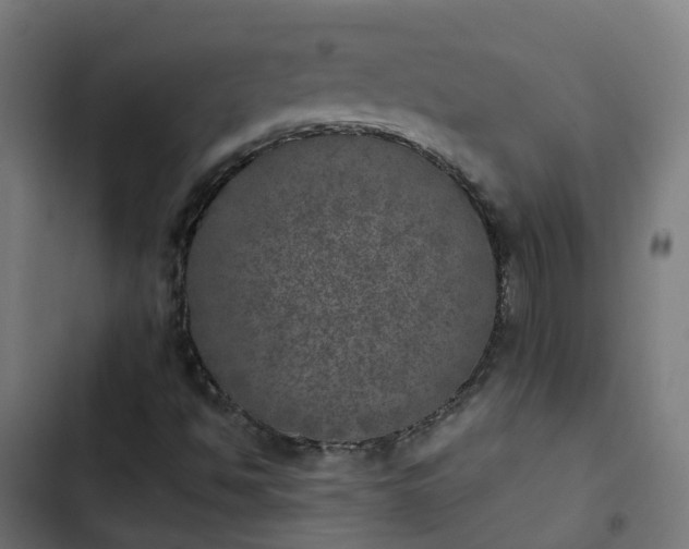 X0000103961494200809261758