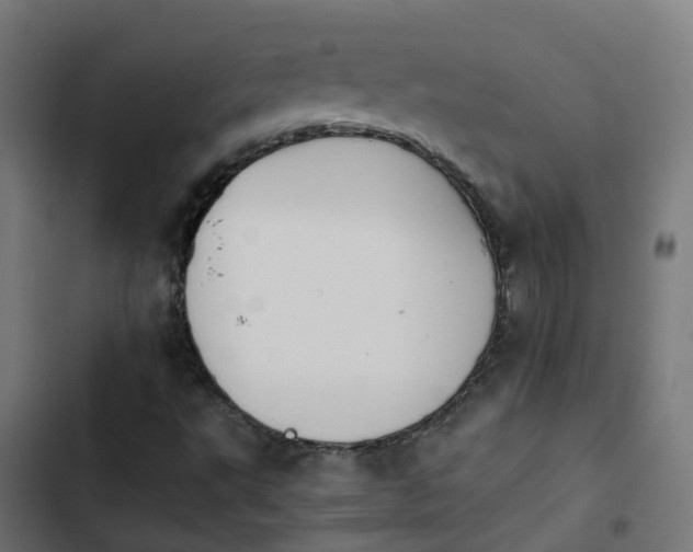 X0000103961495200809261758