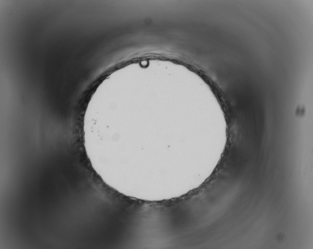 X0000103961496200809261758
