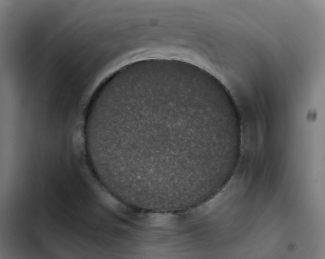 X0000103961498200809261758