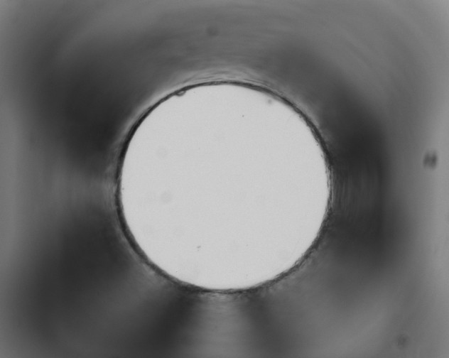 X0000103961500200809261758