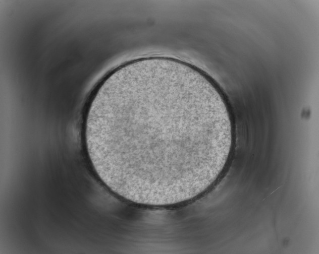 X0000103961502200809261759