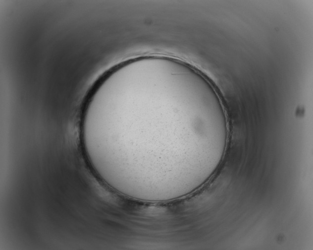 X0000103961503200809261759