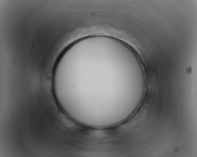 X0000103961507200809261759