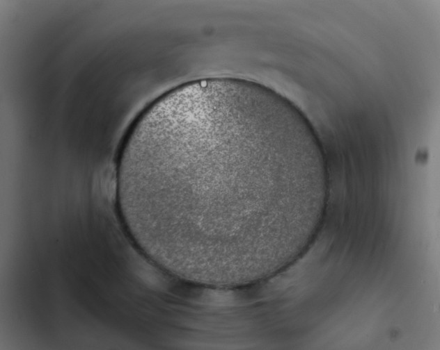 X0000103961509200809261759