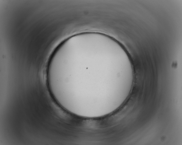 X0000103961511200809261759