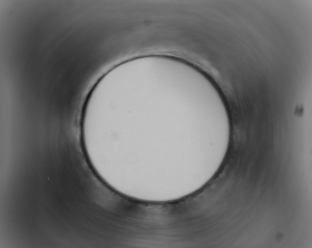 X0000103961512200809261759