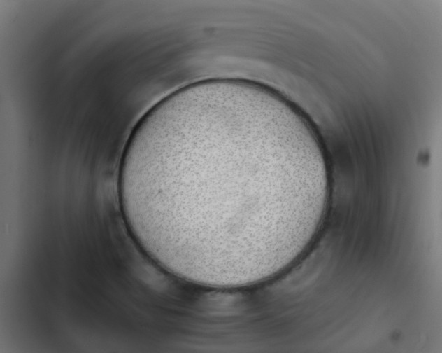 X0000103961513200809261759
