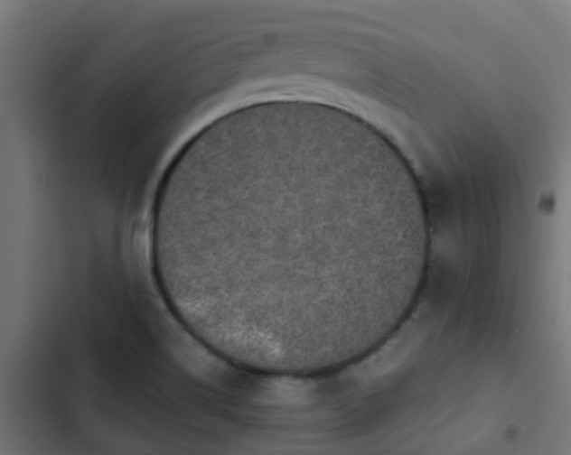 X0000103961514200809261759