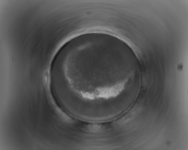 X0000103961515200809261759