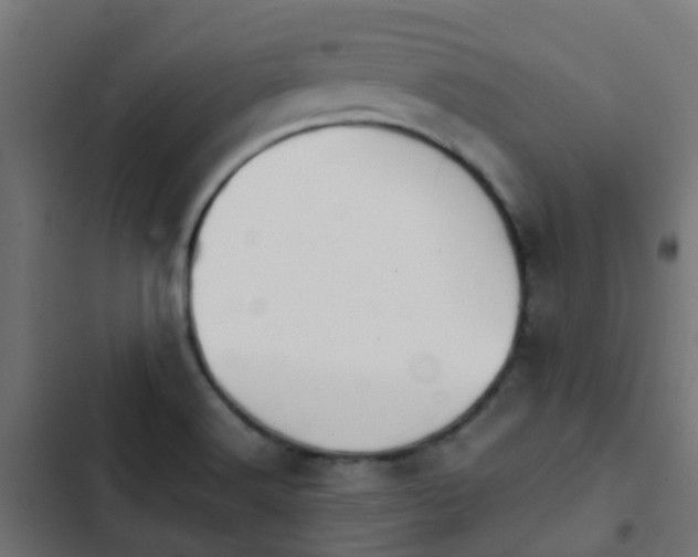 X0000103961516200809261759