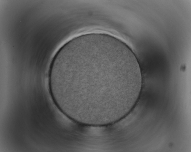 X0000103961518200809261759