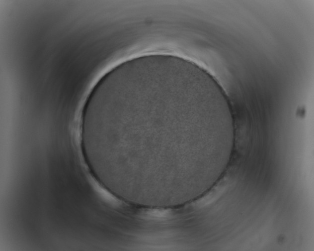 X0000103961519200809261759