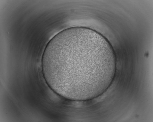 X0000103961521200809261759