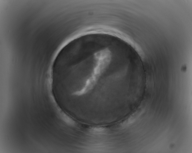 X0000103961522200809261759