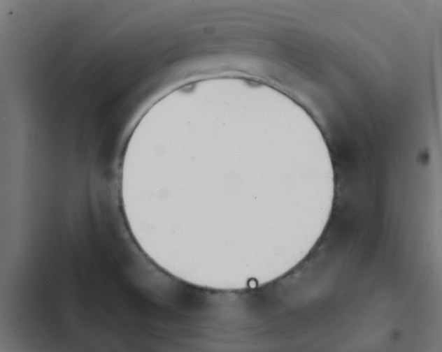 X0000103961524200809261759