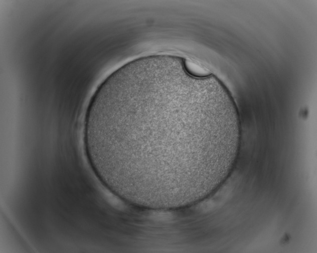 X0000103961525200809261759