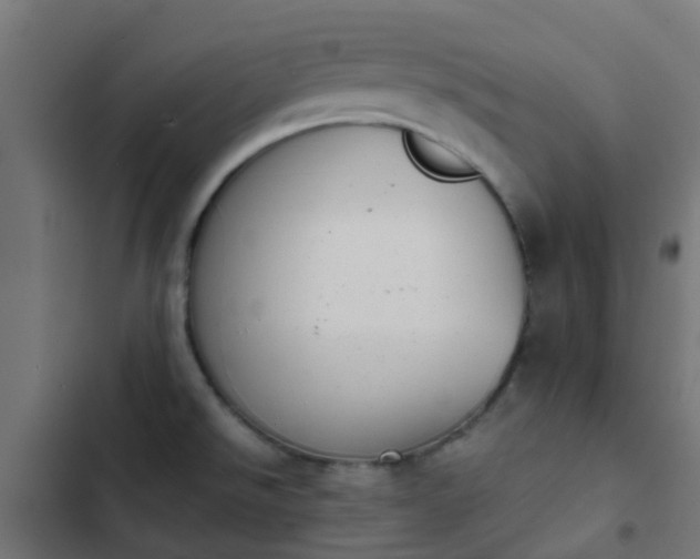 X0000103961526200809261759