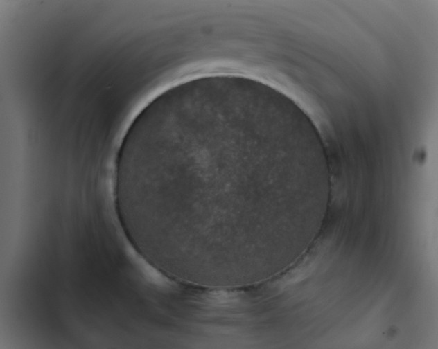 X0000103961527200809261759