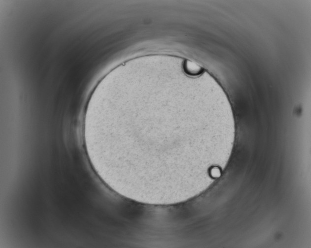 X0000103961528200809261759