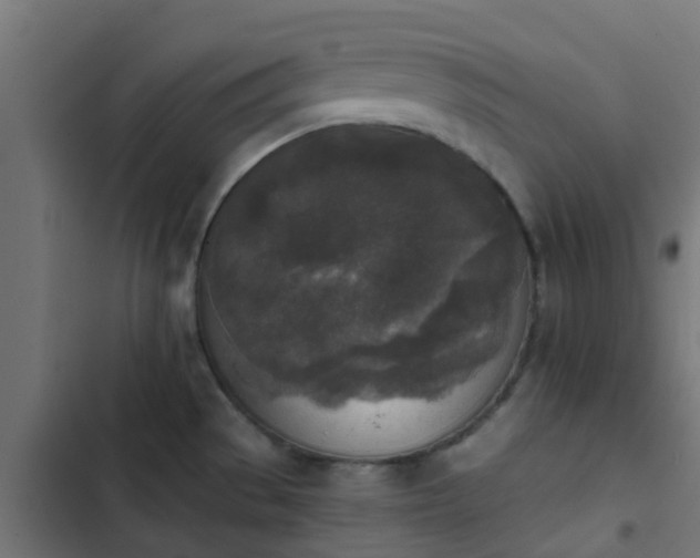 X0000103961529200809261759