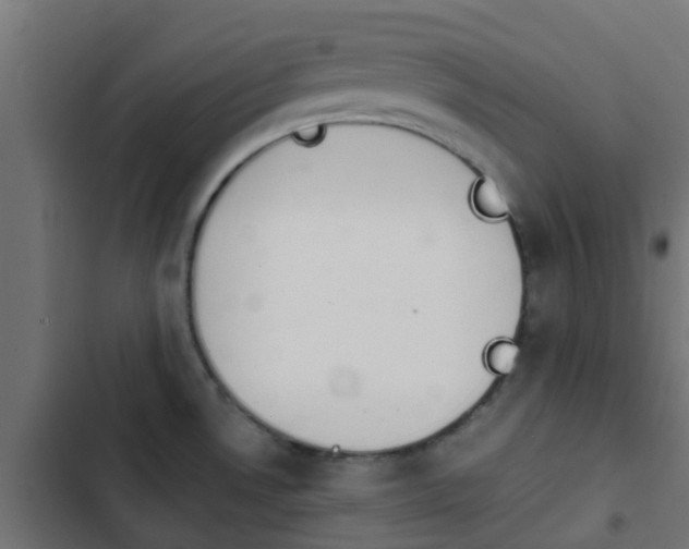 X0000103961530200809261759