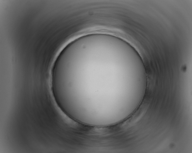 X0000103961531200809261759