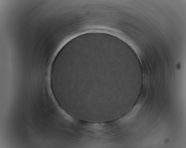 X0000103961533200809261759