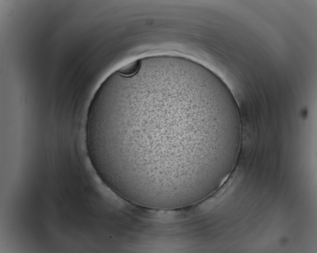 X0000103961534200809261759
