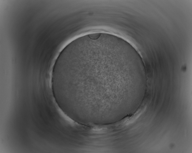 X0000103961535200809261759