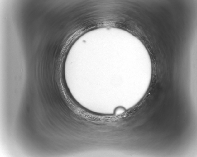 X0000103960001200810031213