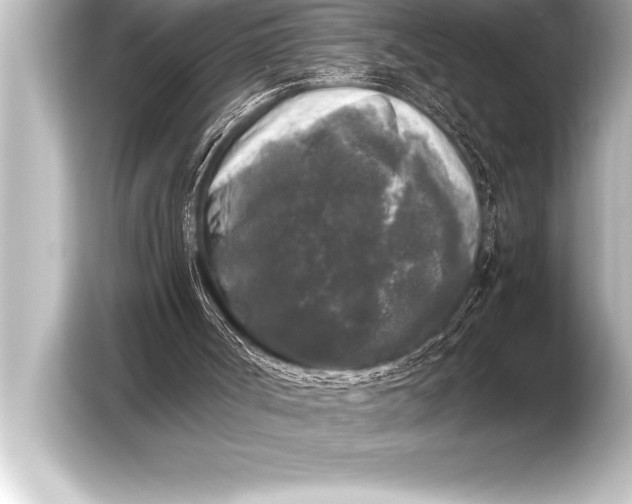 X0000103960002200810031213